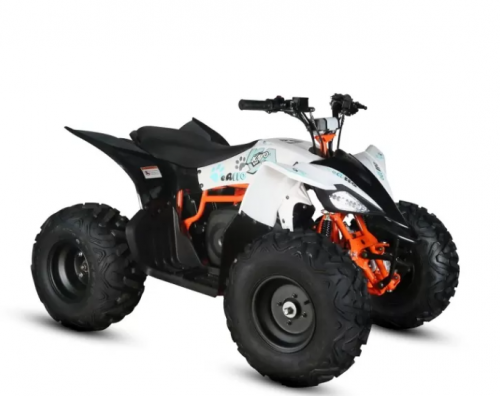 Kinder Elektro Quad Kayo ATV eA110 2100W 48V Artnr.: V3422